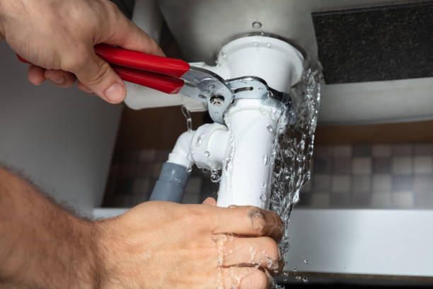 Best Mold removal after water damage  in Manly, IA