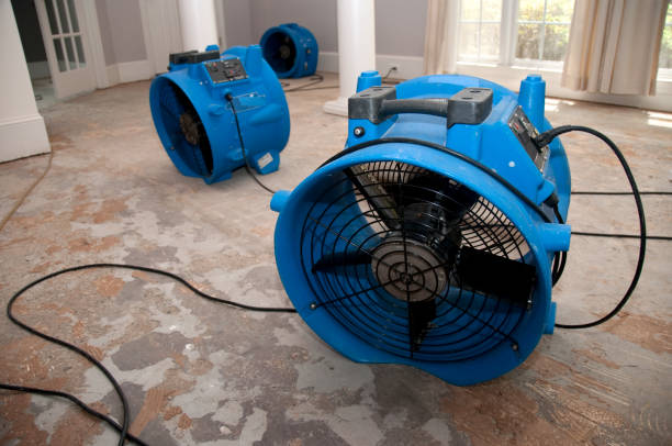 Best Water damage restoration near me  in Manly, IA
