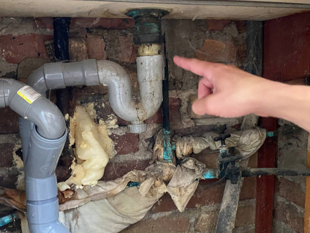 Best Flood damage cleanup  in Manly, IA