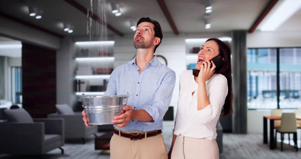 Best Basement water damage restoration  in Manly, IA